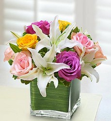 Pastel Rose and White <br>Lily Cube Bouquet Davis Floral Clayton Indiana from Davis Floral